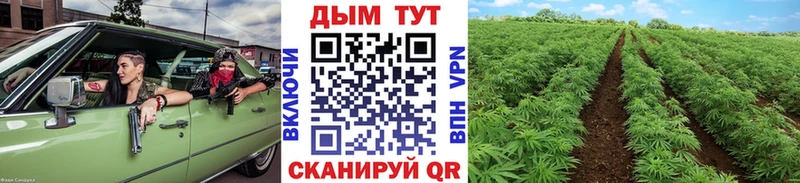 Бошки марихуана VHQ  Гаврилов-Ям 